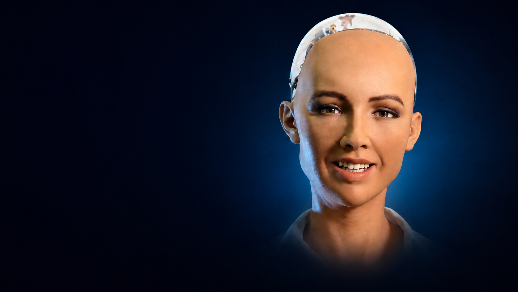 Sophia, the social humanoid robot